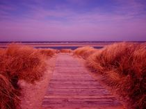 Weg zur Nordsee im Abendrot by kattobello