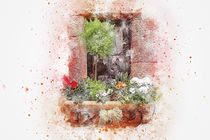 Floral Window von past-presence-art