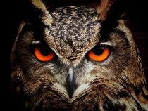 Eagle owl von past-presence-art