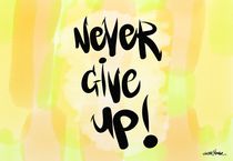 Never Give Up! by Vincent J. Newman