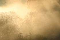 Herbstimpression von Bernhard Kaiser