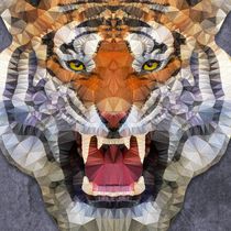 Roaring Tiger by ancello