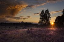 ... abends in der heide von Manfred Hartmann