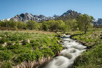 Frühling auf den Lofoten  by Christoph  Ebeling