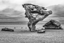 Stone Tree - Bolivia (Arbol de Piedra)  by PAMELA JONES