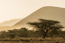 Africa, Kenya, Chyulu Hills, Old Donyo Wuas Lodge, Mbirikani, sunrise by Danita Delimont