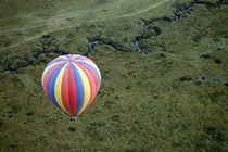 Africa, Kenya, Maasai Mara von Danita Delimont