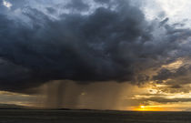 Storm over Amboseli NP, Kenya von Danita Delimont