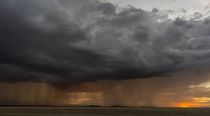 Storm over Amboseli NP, Kenya von Danita Delimont
