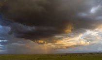 Storm over Amboseli NP, Kenya by Danita Delimont