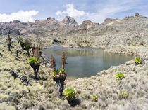 The Mount Kenya NP in Kenya by Danita Delimont