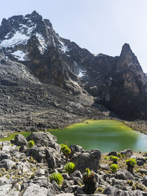 The Mount Kenya NP in Kenya von Danita Delimont