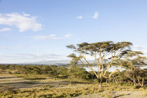Lake Naivasha and Crescent Island, Kenya von Danita Delimont