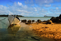 Fishing boat on Mauritian Beach with islet of Mauritius Coin... by Danita Delimont
