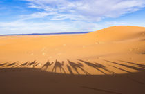 Morocco Sahara Desert sand dunes in Las Palmeras area with s... by Danita Delimont