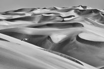 Sandwich Harbor, Namibia von Danita Delimont