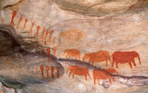San, Bushman rock art, Cederberg Wilderness Area, Western Ca... von Danita Delimont