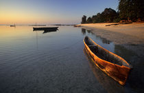 Wooden boats on Tondooni Beach, Pemba Island, Zanzibar, Tanzania von Danita Delimont