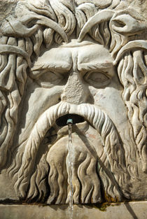 Roman fountain high relief, Carthage National Museum, Byrsa ... von Danita Delimont