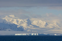 South of the Antarctic Circle. Near Adelaide Island. von Danita Delimont