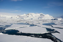 South of the Antarctic Circle. Near Adelaide Island. The Gul... by Danita Delimont