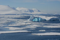 South of the Antarctic Circle, near Adelaide Island von Danita Delimont