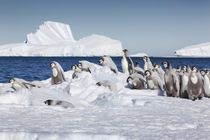 Cape Washington, Antarctica von Danita Delimont