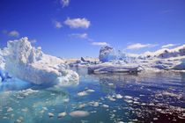 Icebergs and ice flows along the Antarctic Peninsula, near P... by Danita Delimont