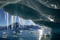 Iceberg, Petermann Island, Antarctica von Danita Delimont