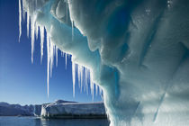 Iceberg, Petermann Island, Antarctica by Danita Delimont