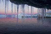 Iceberg, Lemaire Channel, Antarctica von Danita Delimont