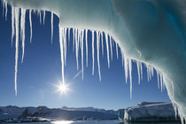 Iceberg, Lemaire Channel, Antarctica by Danita Delimont