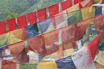 Asia, Bhutan, Thimphu by Danita Delimont