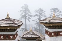 Asia, Bhutan, Dochu La von Danita Delimont