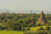 Bagan. The plain of Bagan is dotted with hundreds of temples. by Danita Delimont