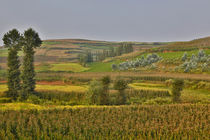 Valley just before going into the Dongchuan Red Lands, Kunmi... by Danita Delimont