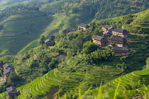 Village house and rice terraces in the mountain, Longsheng, ... von Danita Delimont