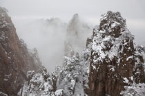 Snow, Huangshan or Yellow Mountains, Anhui Province, China von Danita Delimont
