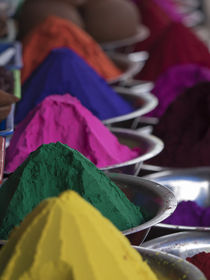 Holi powder paint for sale in Mysore, Karnataka, India by Danita Delimont
