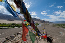 India, Jammu & Kashmir, Ladakh, strings of prayer flags at S... by Danita Delimont