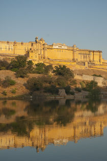 Amber Fort reflected in Maota Lake, Jaipur, Rajasthan, India. by Danita Delimont