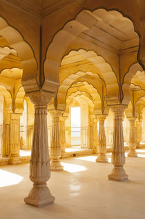 Colonnaded gallery, Amber Fort, Jaipur, Rajasthan, India. by Danita Delimont