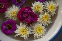 Flowers in a bowl of water, Rawal Jojawar Hotel, Jojawar, Ra... von Danita Delimont