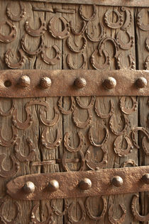 Horseshoes decorate a wooden door, Jama Masjid, Fatehpur Sik... by Danita Delimont