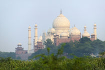Taj Mahal, Agra, India by Danita Delimont
