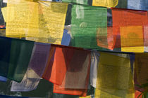 Buddhist prayer flags, Bodh Gaya, Bihar, India von Danita Delimont