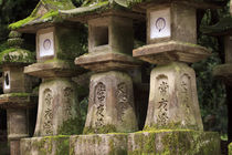 Kasuga-Taisha Shrine in Nara, Japan is famous for its large ... von Danita Delimont