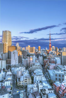 Roppongi Sunset by Danita Delimont