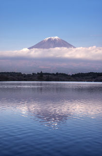 Mt. Fuji von Danita Delimont