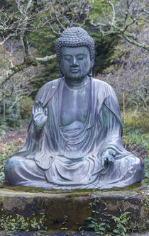 Japan, Kanagawa, Kamakura, Tokeiji Temple Buddha . von Danita Delimont